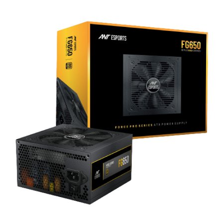 Ant Esports 650W 80 Plus Gold Gaming Desktop Power Supply FG650